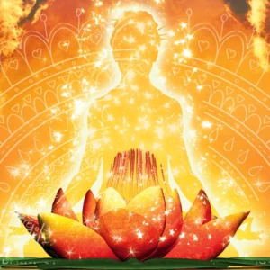 Bolluk Bereket Kanallı ile Bağ Kurma